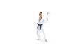 Great Master Dobok With Phoenix Embroidery, 180 cm
